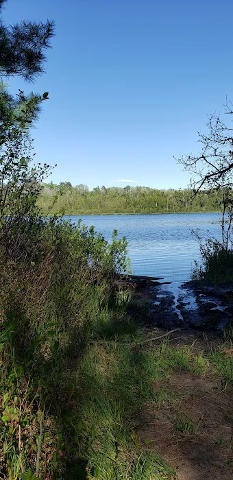 Bear Lake Dispersed Campsite 2