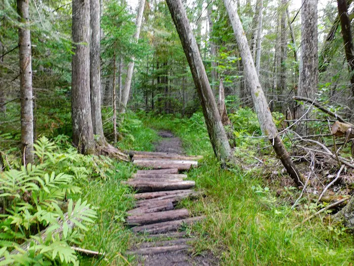 Indian Lake Campground 4