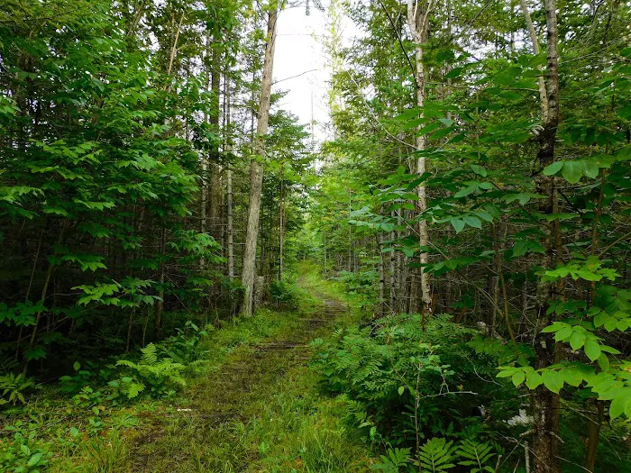 Indian Lake Campground 6