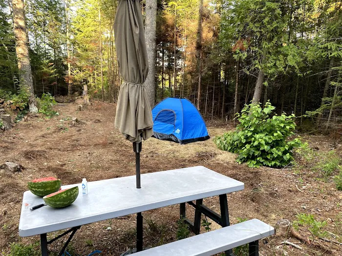 Just Show Up Campground 6