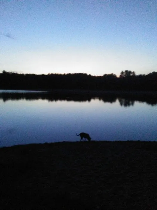 Gibson Lake Park & Campgrounds 7