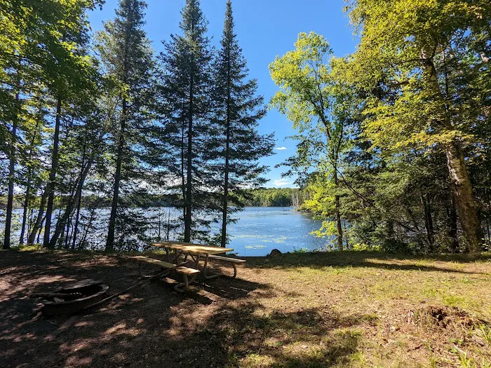 Perch Lake Campground 8