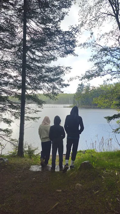 Perch Lake Campground 6