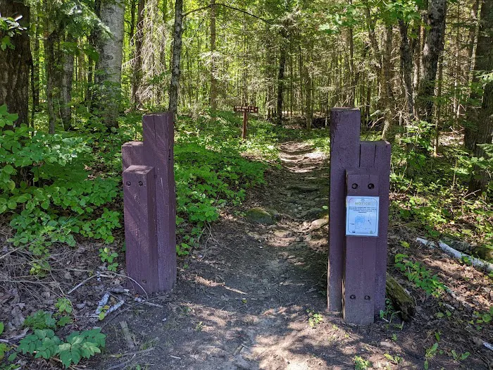 Perch Lake Campground 9