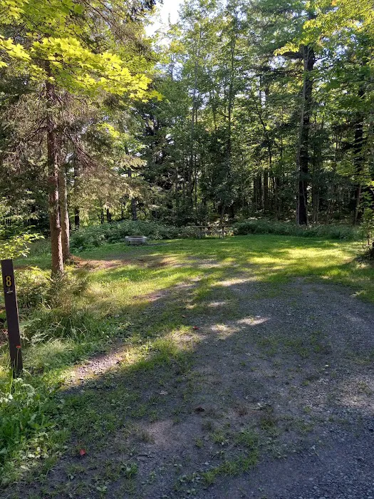 Big Eric's Bridge State Forest Campground 4