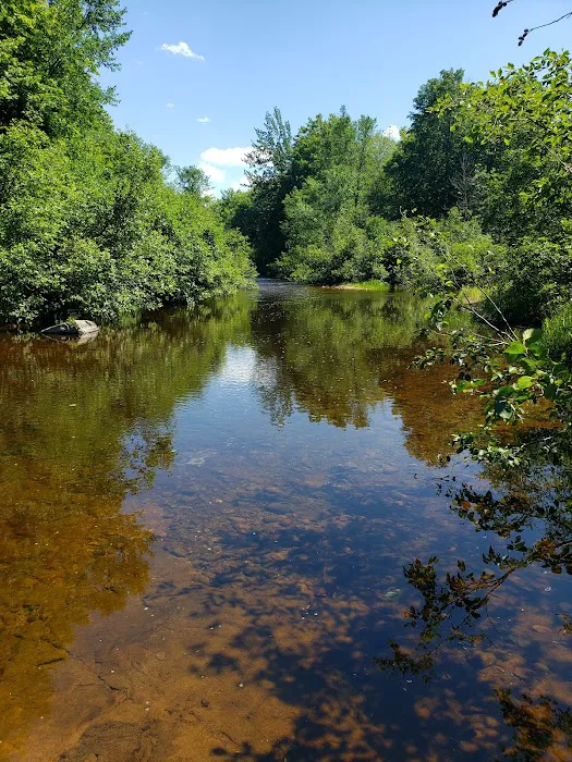 Big Eric's Bridge State Forest Campground 3