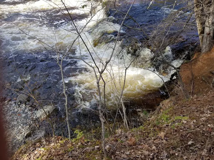 Big Eric's Bridge State Forest Campground 8