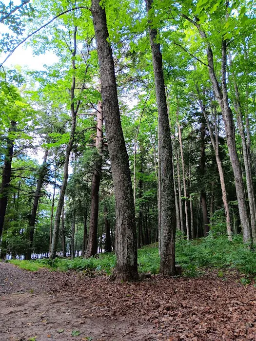 Lake Ottawa Recreation Area 7