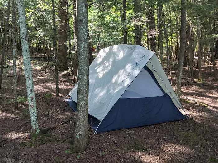 Lake Ottawa Recreation Area 9