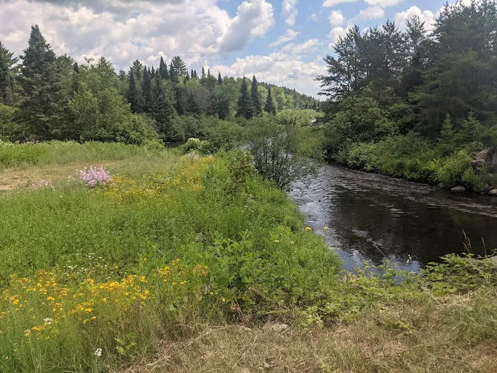 Paint River Forks Campground 0