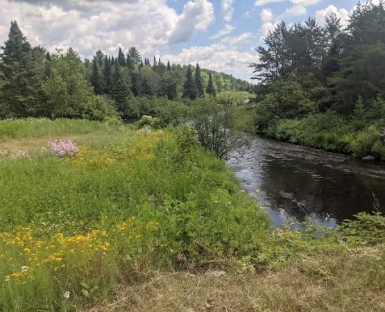 Paint River Forks Campground