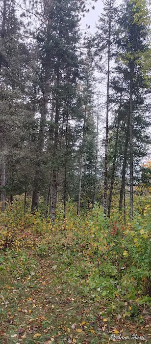 Paint River Forks Campground 7