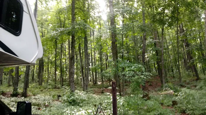 Stevens Lake Campground 5