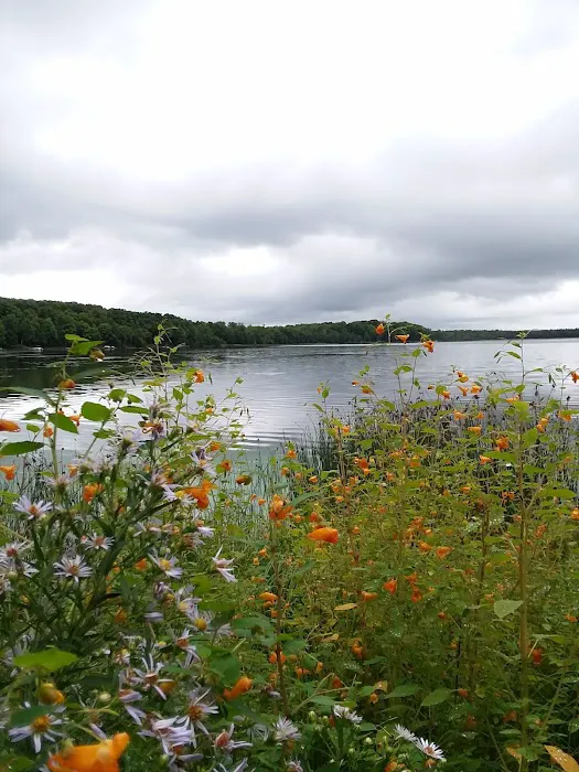 Stevens Lake Campground 4