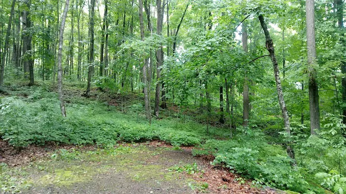 Stevens Lake Campground 6