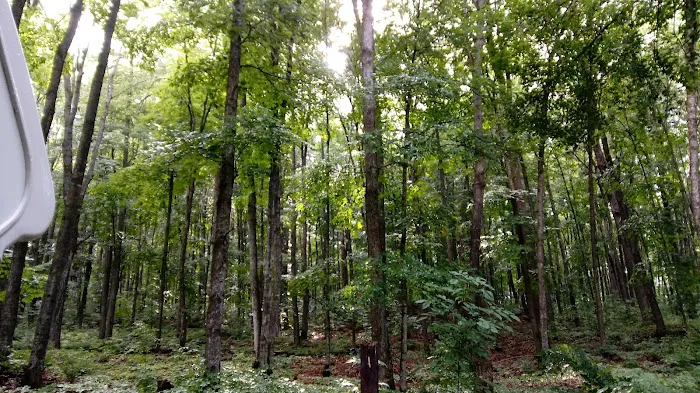 Stevens Lake Campground 9