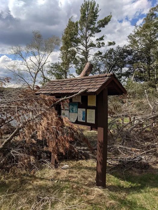 Golden Lake Campground 6