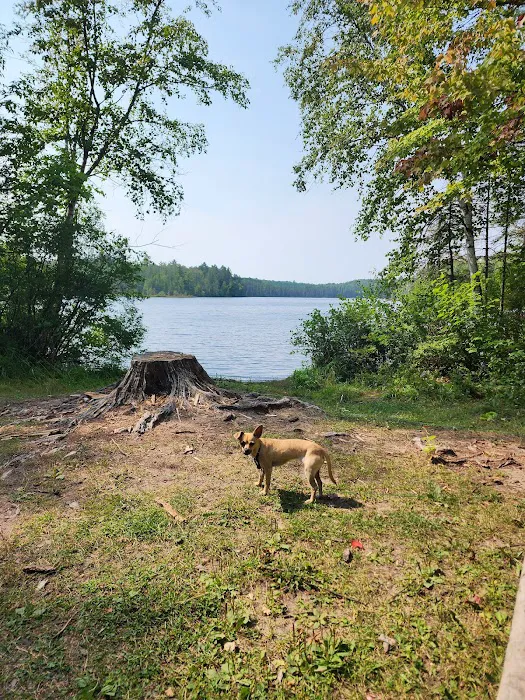 Robinson Lake Campsite 0