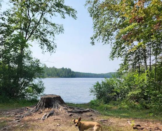 Robinson Lake Campsite