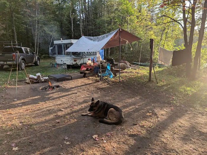 Robinson Lake Campsite 2
