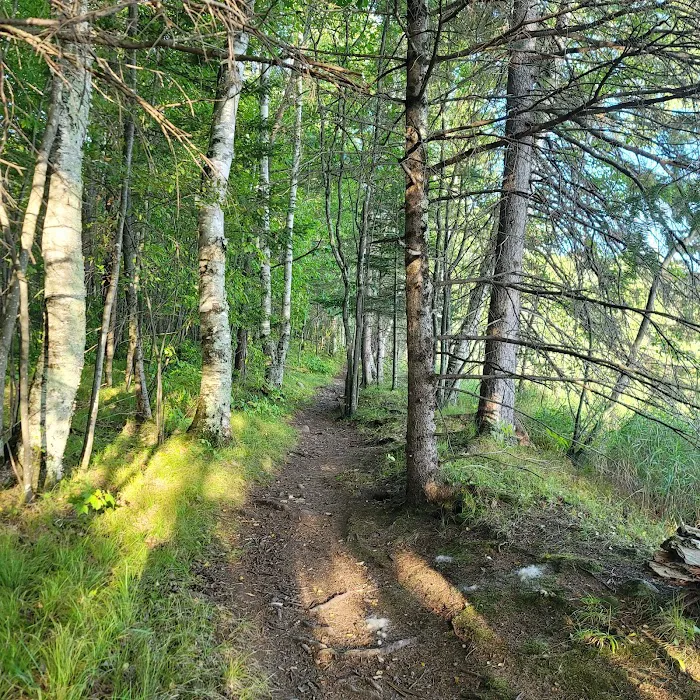 Lost Lake Campground 2