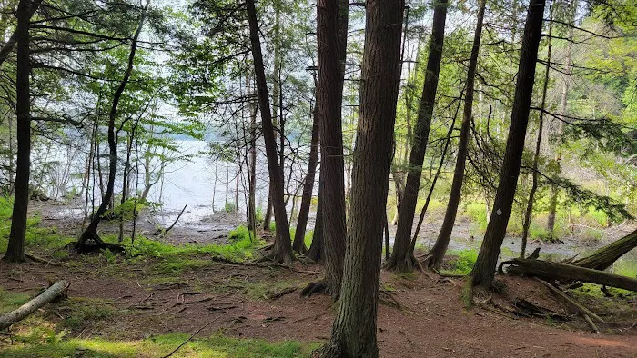 Lost Lake Campground 1