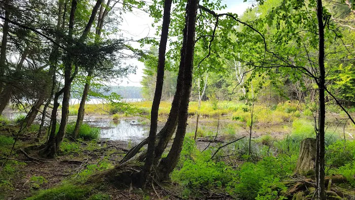 Lost Lake Campground 6