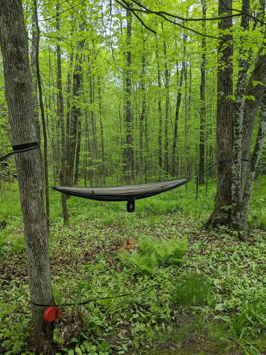 Lost Lake Cabins 4
