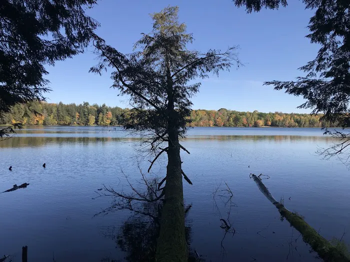 Lost Lake Cabins 0