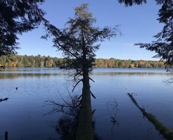 Lost Lake Cabins