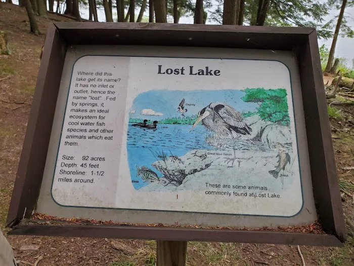 Lost Lake Cabins 6