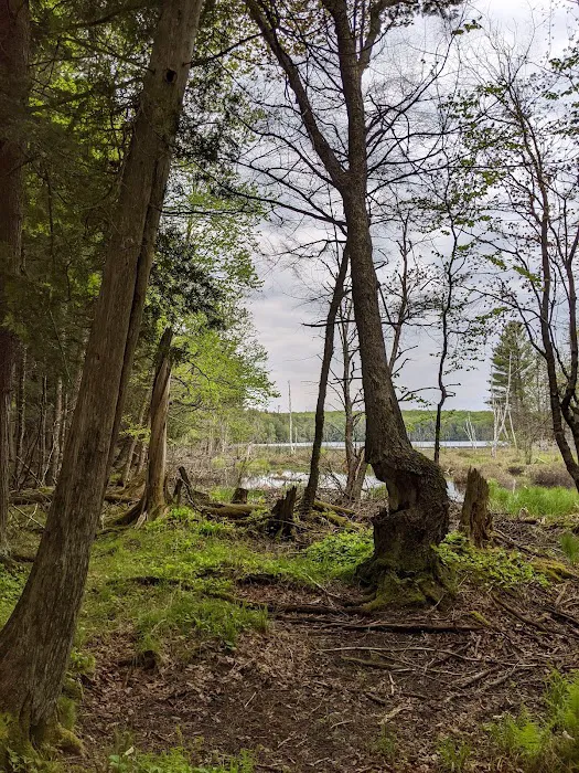 Lost Lake Cabins 5