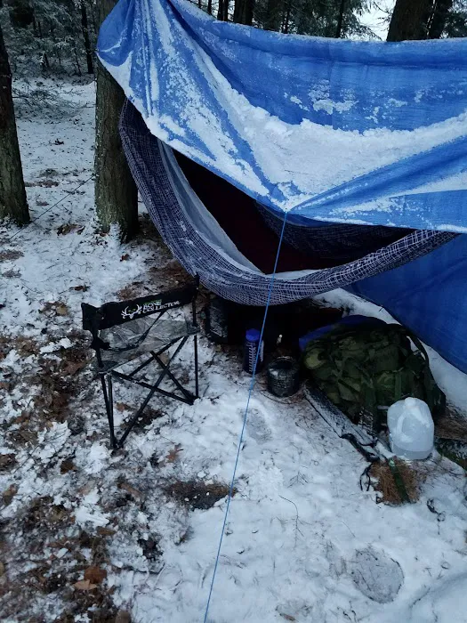 Quartz Lake Campgroup 3