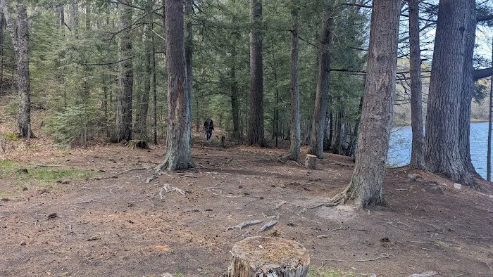 Quartz Lake Campgroup 5