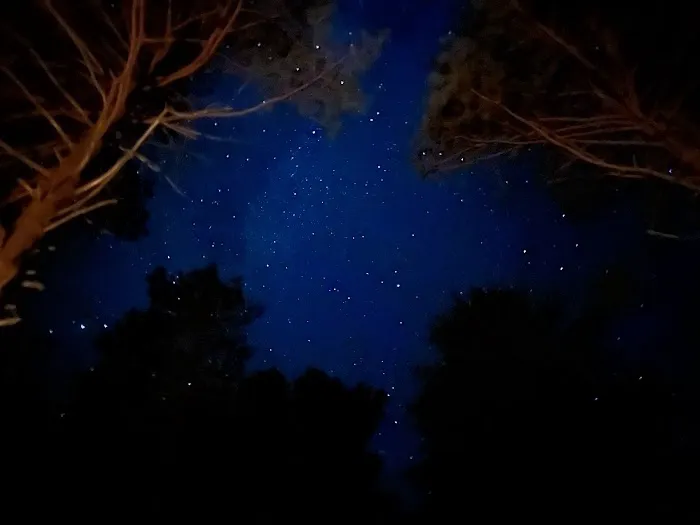 Pike Lake State Forest Campground 3