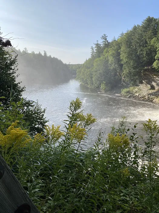 Lower Falls Hemlock Campground 8