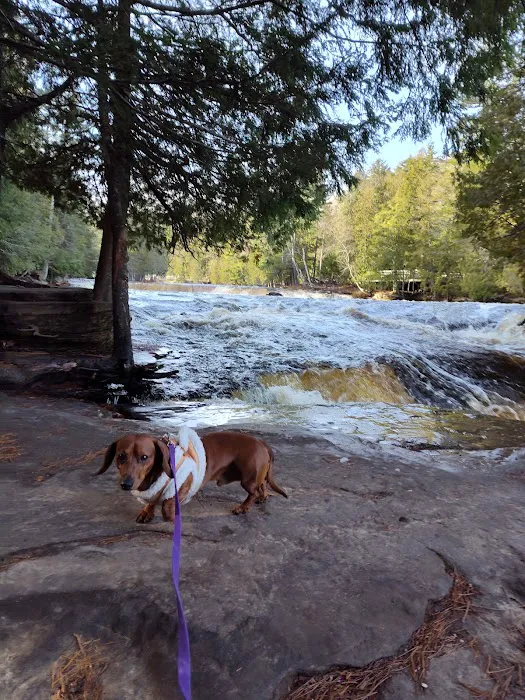 Lower Falls Hemlock Campground 9