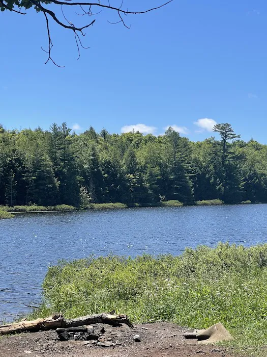 Perrault Lake Campground 1