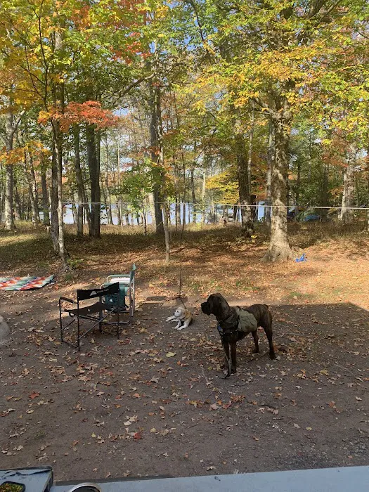 Perrault Lake Campground 6