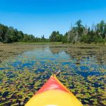 Paulding Pond Campground and Picnic Area