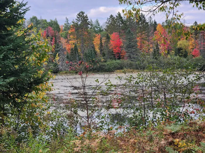 Paulding Pond Campground and Picnic Area 2