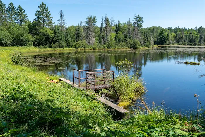 Paulding Pond Campground and Picnic Area 1