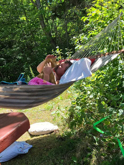 Bond Falls Flowage Camp I7 8
