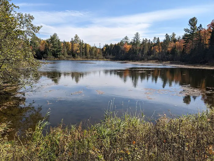 Robbins Pond Campground 2