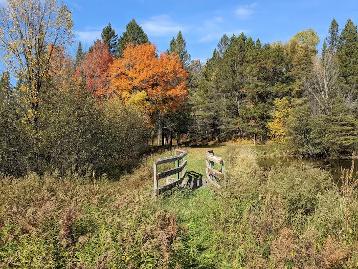 Robbins Pond Campground 3