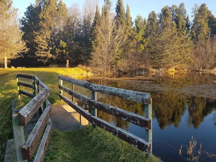 Robbins Pond Campground 4