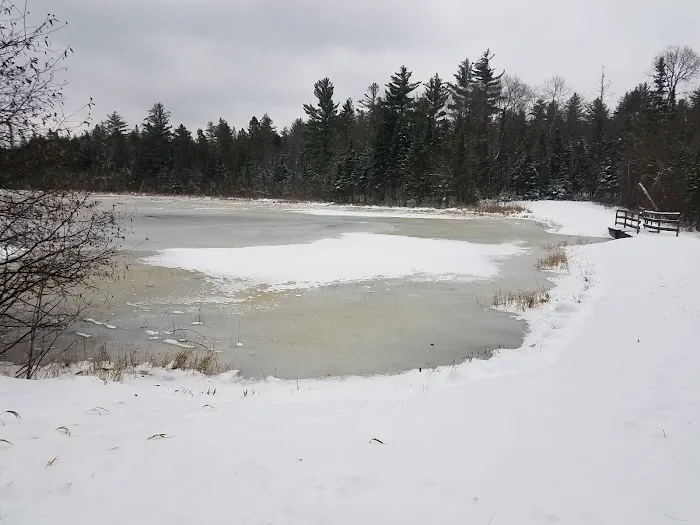 Robbins Pond Campground 5