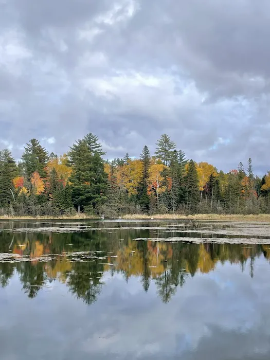 Robbins Pond Campground 7