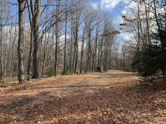 Marion Lake Campground and Picnic Area 4