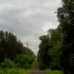 Watersmeet Ranger District